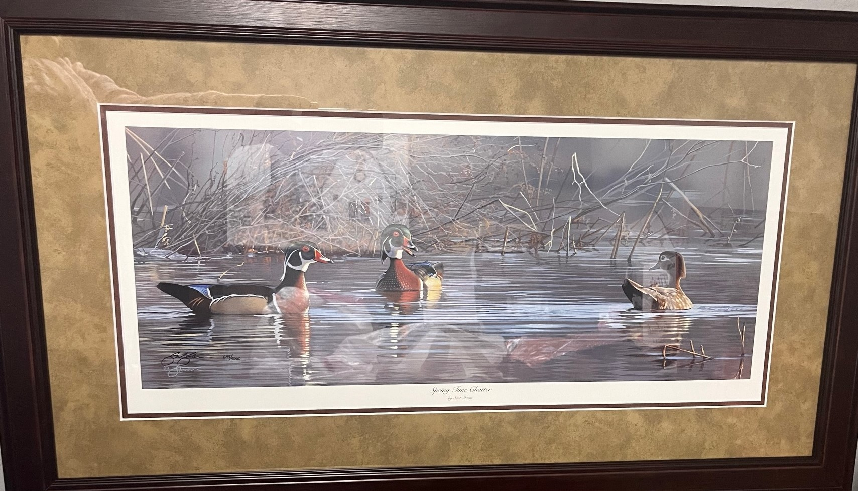 Ducks Unlimited Picture